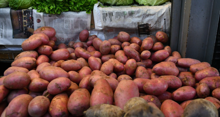 Abrupto aumento en precio de la papa