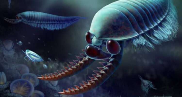 Descubren un pequeño animal marino de hace 520 millones de años que tenía 3 ojos, el “Kylinxia”