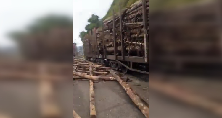 Fepasa presentará querella por doblre ataque armado a tren con carga de madera en Lota