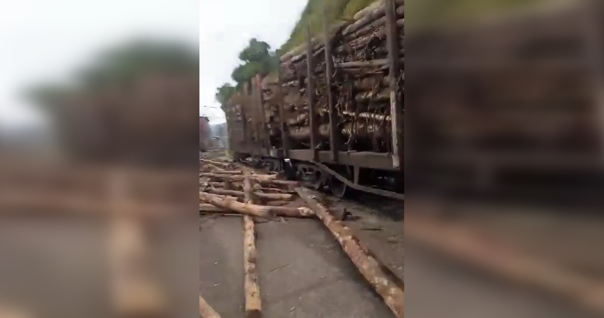 Fepasa presentará querella por doblre ataque armado a tren con carga de madera en Lota