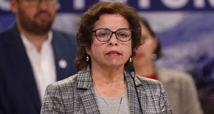 Ministra de Minería, Aurora Williams, en un punto de prensa