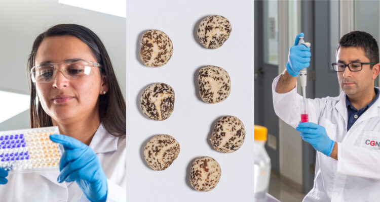 Centro de Genómica Nutricional Agroacuícola destaca avances científicos desarrollados en La Araucanía