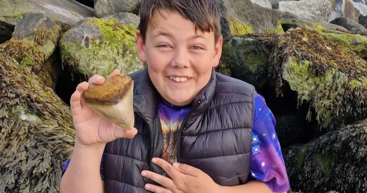 Niño de 13 años encontró un diente de “megalodón” de hace millones de años en una playa de Reino Unido
