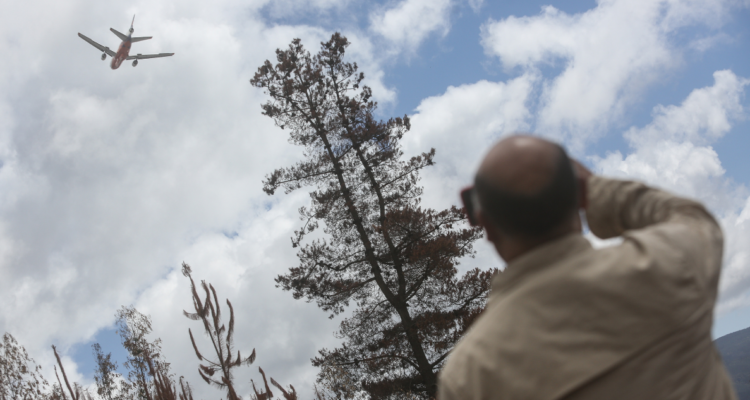 La difícil tarea de la reforestación y su impacto al medio ambiente