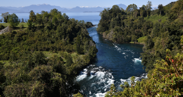 No tengamos miedo de salvar al medioambiente a través de la colaboración