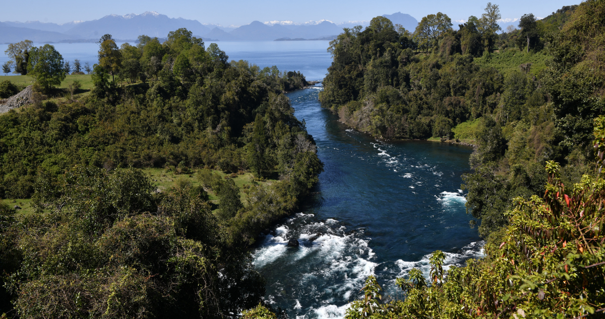 No tengamos miedo de salvar al medioambiente a través de la colaboración