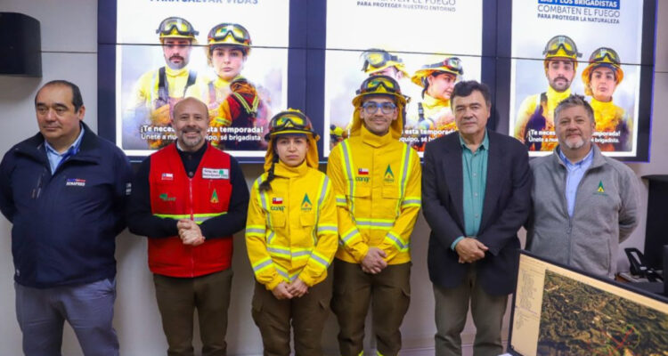 Gobierno busca brigadistas forestales en todo Chile: conoce requisitos, sueldos y cómo postular online