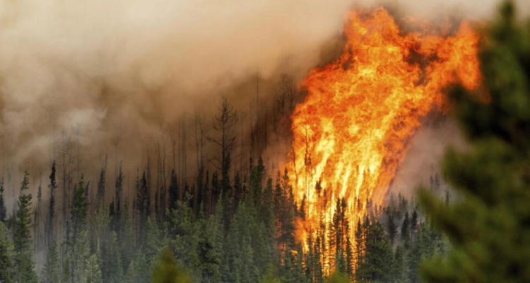 Las llamas arrasan con el área de Fort St. John, en el estado de Columbia Británica