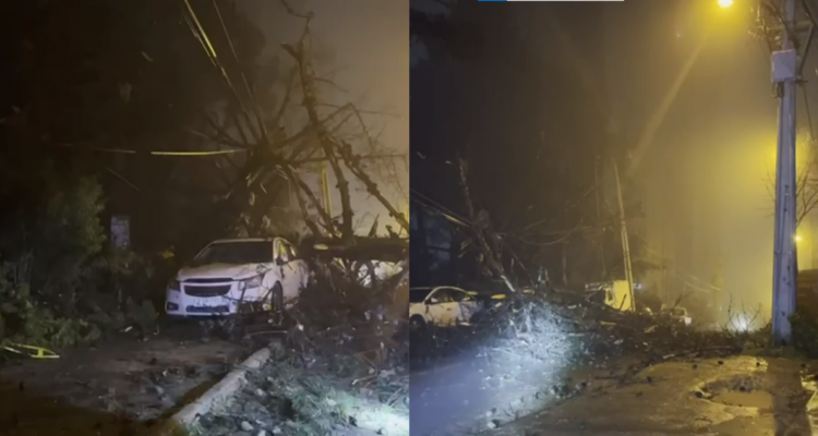 Gran árbol cae en cerro San Roque, daña vehículos y deja sin electricidad a 3 sectores de Valparaíso