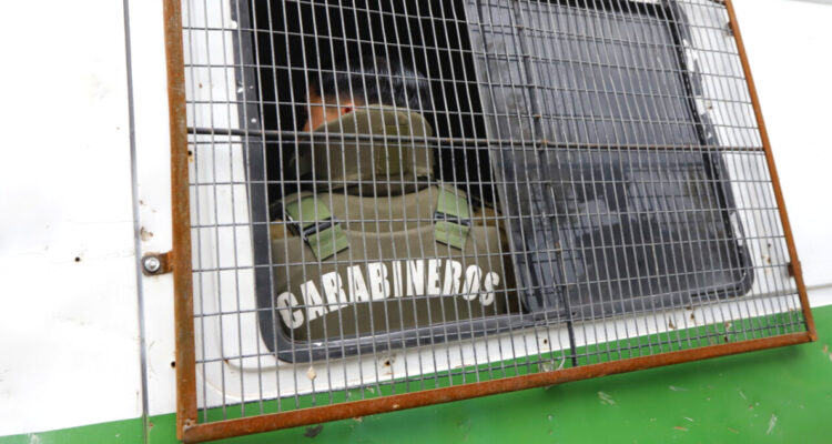 carabineros-arauco-detenido
