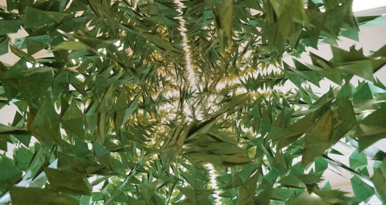 ciclo natural imagen