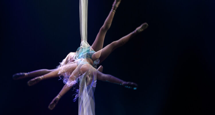 El Circo del Mundo Chile: la ONG que complica a seremi de las Culturas Metropolitana