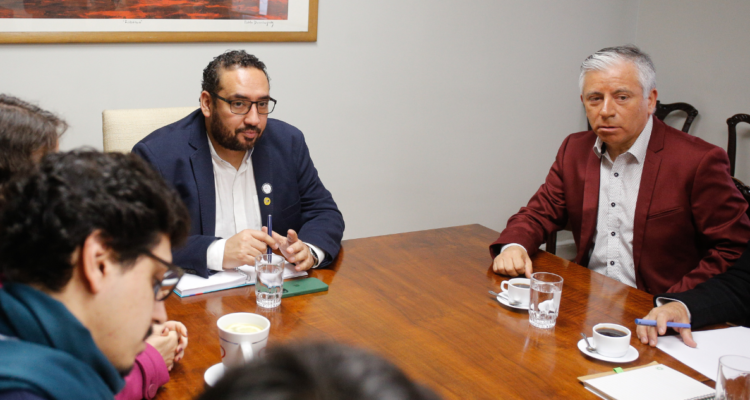 colegio de profesores