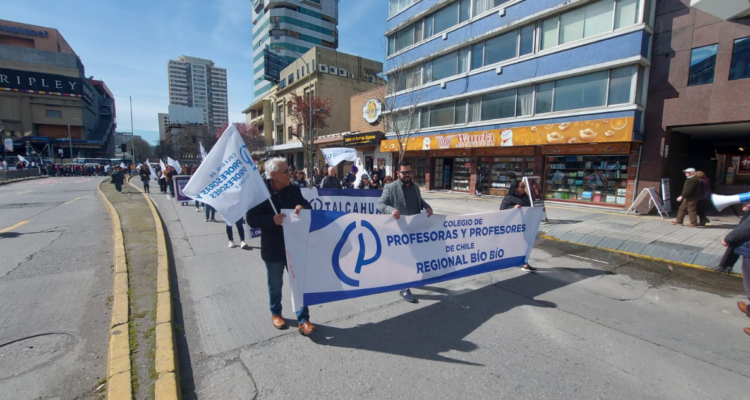 profesores Bío Bío paro