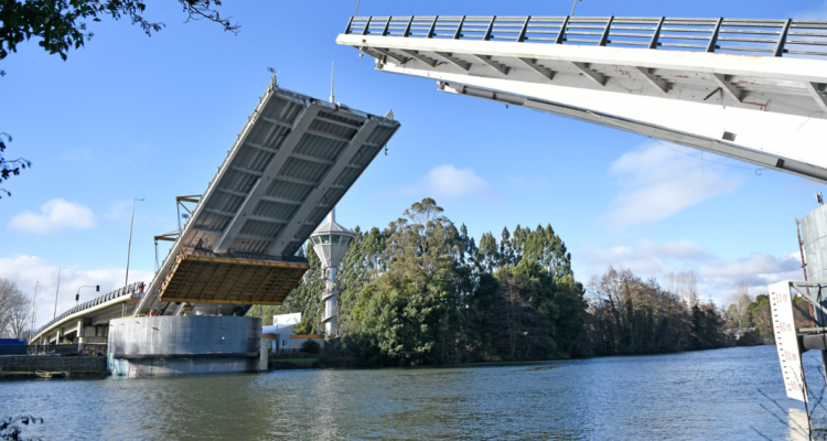 construcción puente Cau Cau