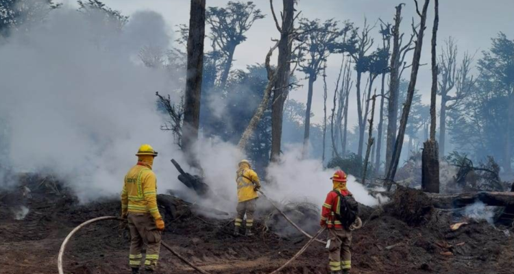 Conaf inicia campaña por incendios forestales en Los Ríos: aumentaron un 1000% en la última temporada