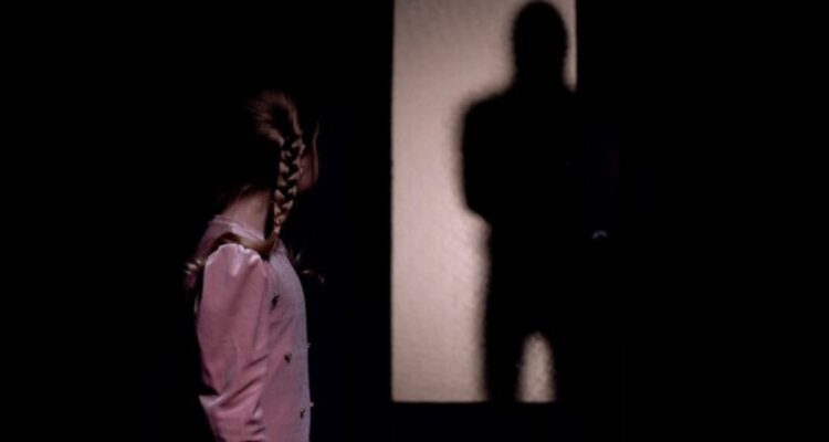 Condenan a 10 años de cárcel a hombre que abusó y violó a niña en Padre Las Casas