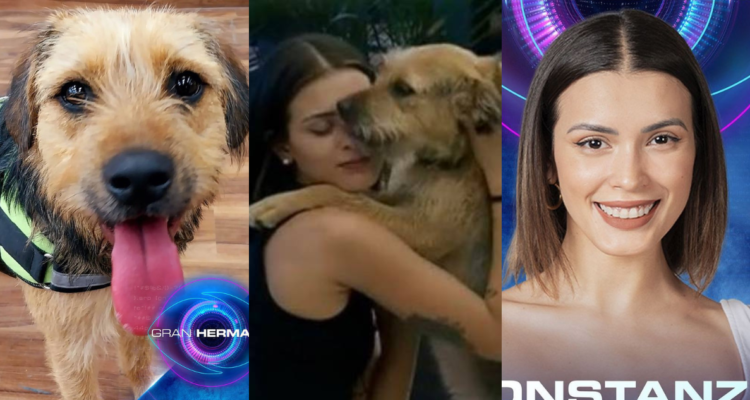 Bigotes y Cony Capelli en referencia a qué sucederá con el can tras el final de Gran Hermano