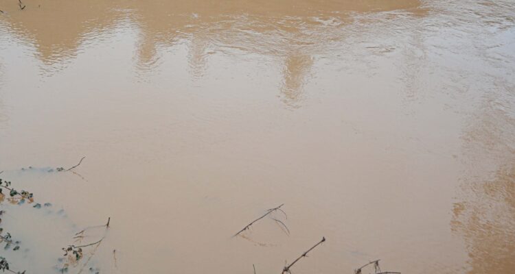 Desbordes de ríos en Maule