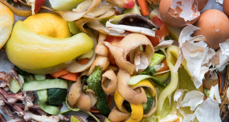 Fotografía de desechos de comida en referencia al método coreano