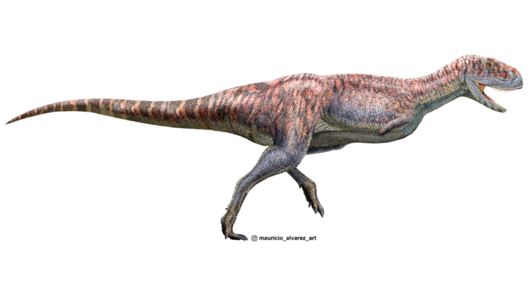 Dinosaurio de brazos muy cortos