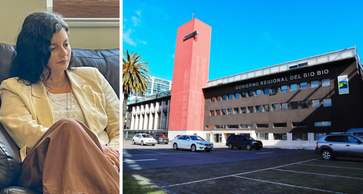 “Hay un peligro hacia la democracia”: Dresdner pide aclarar lo antes posible traspasos a fundaciones