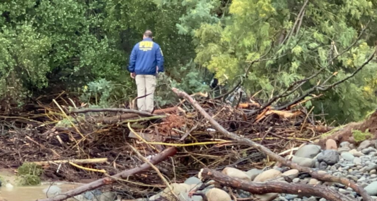 Encuentran cuerpo de adulto mayor en linares