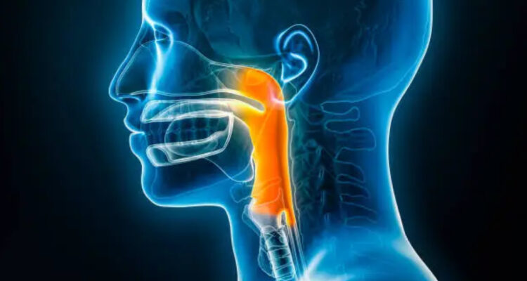 Detectan un clon “hipervirulento” de la bacteria de la faringitis en Argentina: ya hubo 16 muertes