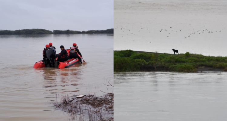 Intensas maniobras de bomberos para rescatar a perrito atrapado en islote tras crecida del río Bío Bío