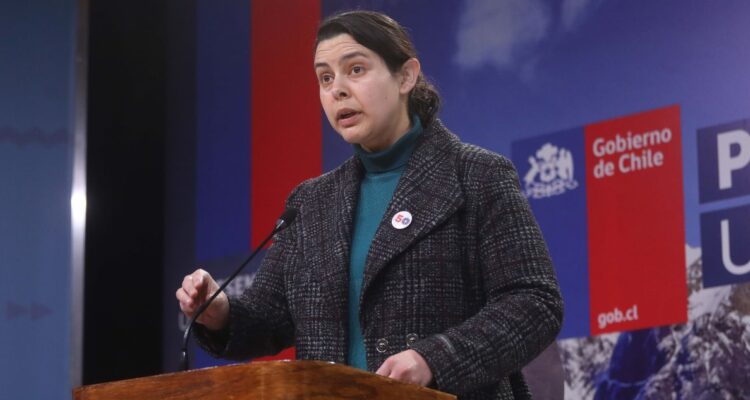 ¿Quién es Francisca Perales? La nueva Subdere que estuvo a cargo de los catastros post incendios