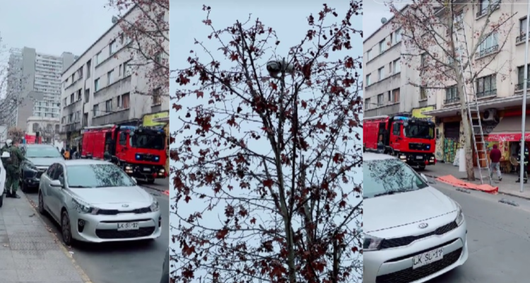 Operativo para bajar a gato de árbol