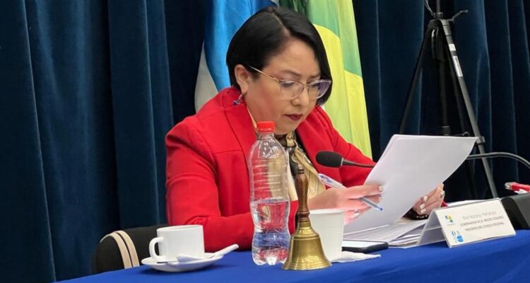 Gobernadora de Coquimbo fue suspendida por mal uso de auto fiscal: Lo utilizó hasta para ir al mall