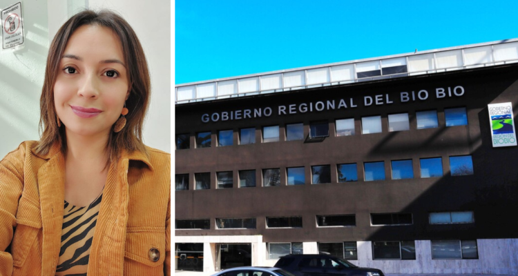 sumario GORE Bío Bío