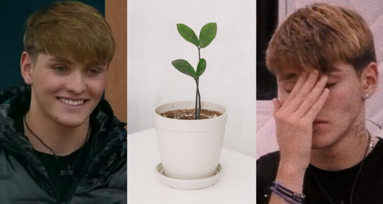 Prima de Hans de Gran Hermano respondió al apodo que él recibió: “Le falta fotosíntesis a esa planta”