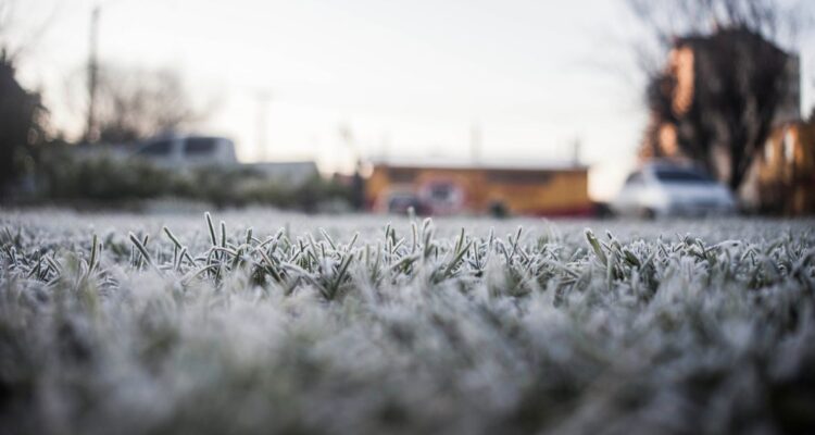 Fin de semana bajo los 0° C: Pronostican heladas en las regiones afectadas por el sistema frontal