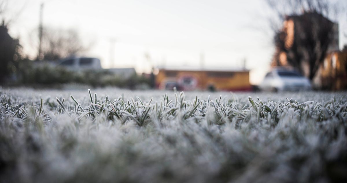 Fin de semana bajo los 0° C: Pronostican heladas en las regiones afectadas por el sistema frontal