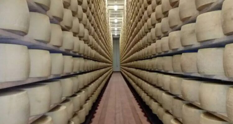 Hombre muere aplastado por más de 15 mil quesos en Italia se pudo leer en diversos medios locales durante esta jornada de lunes.