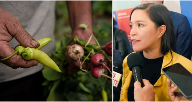 hortaliceros-especulacion