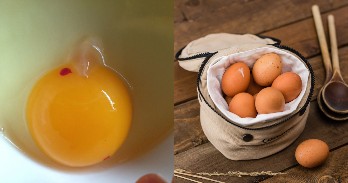 Huevos con manchas rojas