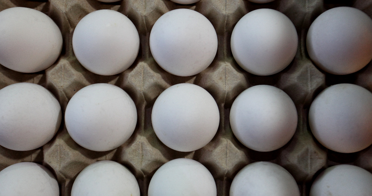 La información que productores de huevos difundieron en un medio y que puso en jaque libre competencia