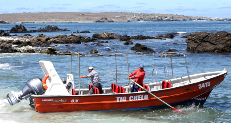 Aprueban la creación de un área marina protegida en el Archipiélago de Humboldt
