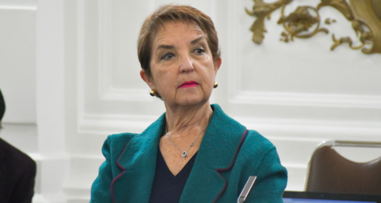 Hutt buses eléctricos Temuco