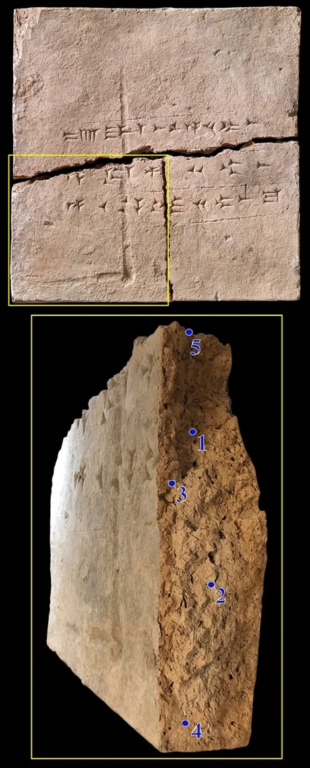 Encuentran "cápsula del tiempo" del ADN en un ladrillo de arcilla de hace 2.900 años ¿de qué se trata? 