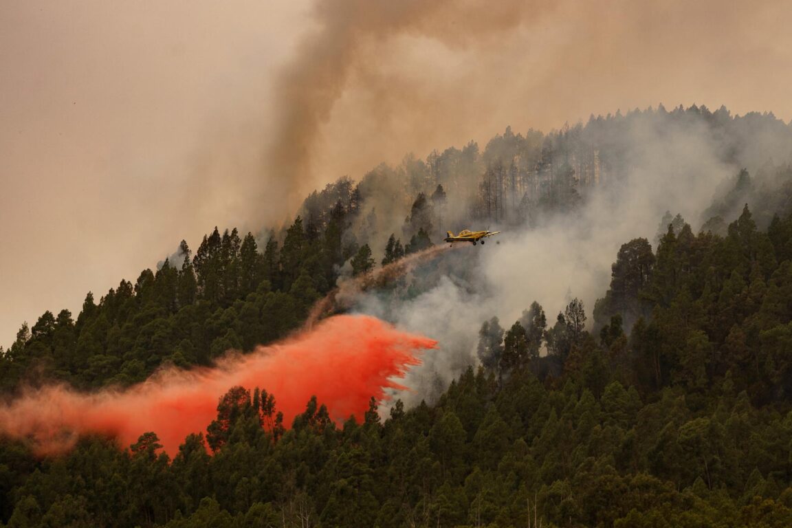 Un avión participa en las labores de extinción de incendio forestal en el municipio tinerfeño de El Rosario