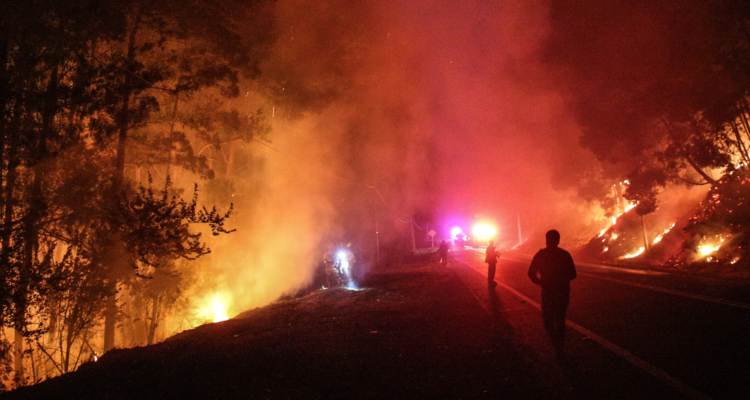 Imagen de incendios forestales en región del Bío Bío durante verano 2023