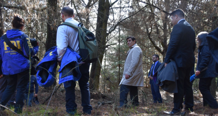 Investigan hallazgo de osamentas en cercanías de Concepción