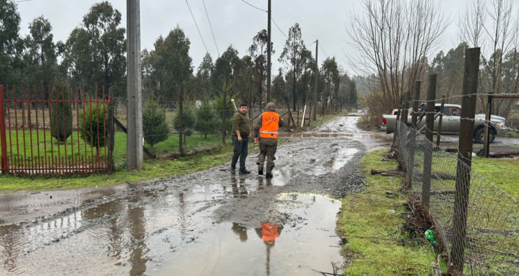 isla pejerrey quilleco