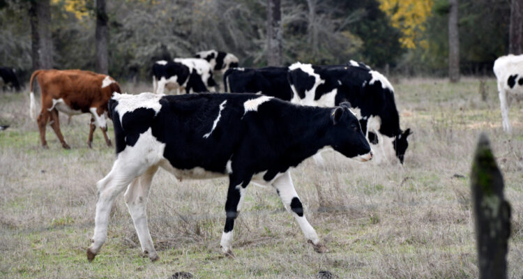 Contexto | Agencia UNO