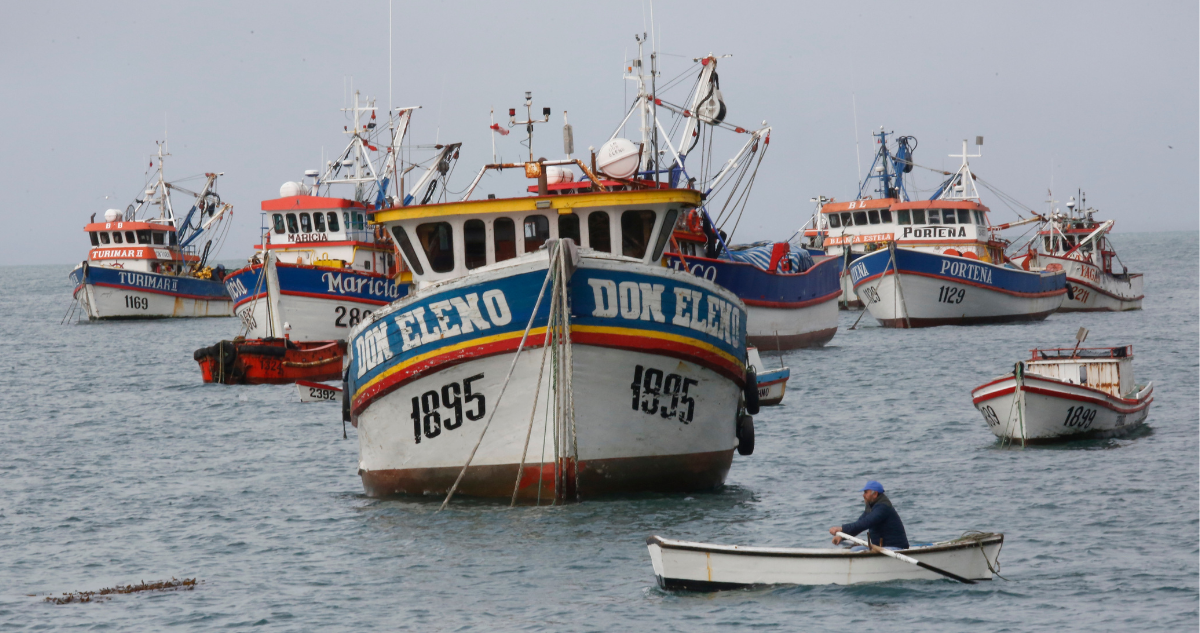 Bío Bío Ley Pesca