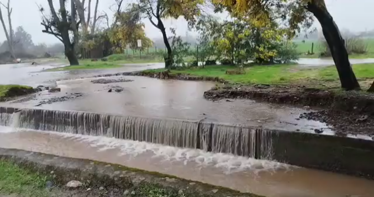Llaman a evacuar sectores de Parral y Linares por desborde de ríos en la región del Maule